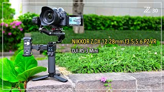 NIKKOR Z DX 1228mm f3556 PZ VR  Nikon Z50  DJI RS3  超広角パワーズームレンズ  長居公園  ジンバル撮影 [upl. by Asik]