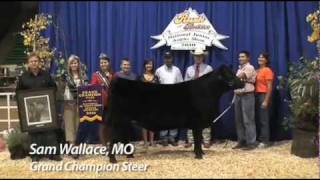 National Junior Angus Show 2010  Steer Show  Sure Champ [upl. by Wawro]