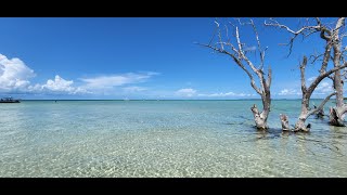 Out snorkeling to Looe Key Reef and the BEAUTY of Snipes Point Sandbar [upl. by Aerdnu]