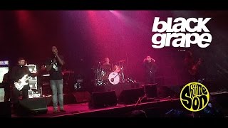 Black Grape  Reverend Black Grape Live  Shiiine On Weekender 2016 [upl. by Essirehs]