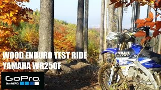 2016 YAMAHA WR250F hard enduro test [upl. by Walcoff]