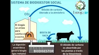 Fabricar generador de Biogas muy fácil [upl. by Atsed614]