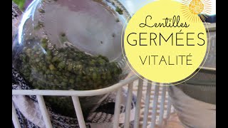 Germer les lentilles Comment faire germer les lentilles [upl. by Noli]