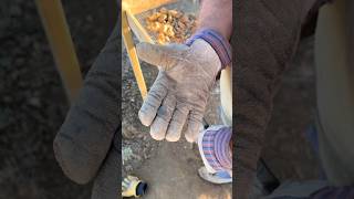 Rare COINS found in gold miners outhouse history digging metaldetecting diggingforbottles [upl. by Axel]