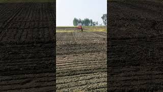 घोङा doing herbicide spray on wheat crops [upl. by Suollecram487]