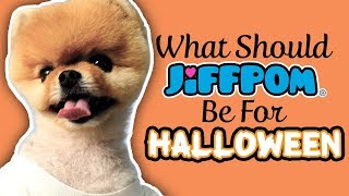 What Should Jiffpom Be For Halloween [upl. by Mila]