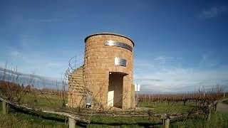 Rundgang in den Weinbergen von Hochstadt Pfalz HD [upl. by Niuqaoj]