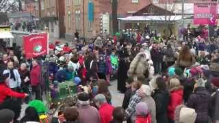 Rosenmontagsumzug 2015 in Böblingen [upl. by Calondra696]