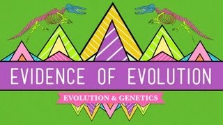 Evolution Its a Thing  Crash Course Biology 20 [upl. by Quartana]