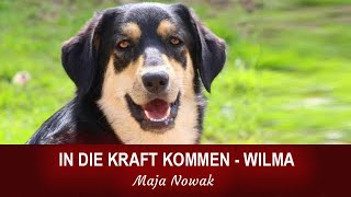 In die Kraft kommen  Wilma  von Maja Nowak  Teil 1 [upl. by Katrine]