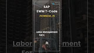 The Secret to SAP EWM Labor Management Mastery [upl. by Meekyh]