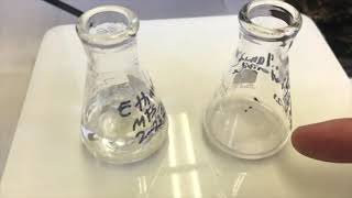 Crystallization of Sulfanilamide [upl. by Jolenta]