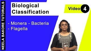 Biological Classification  NEET  Monera  Bacteria  Flagella  Neela Bakore Tutorials [upl. by Wallford]