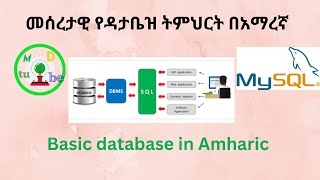 Introduction to database in Amharic [upl. by Minier]