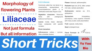 Liliaceae family  Short tricks with yo yoo bio  Morphology of flowering plants  NEET  NCERT [upl. by Ima]