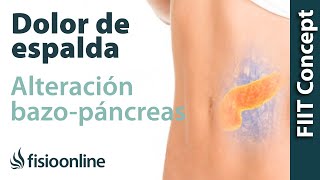 Bazopáncreas y dolor de espalda  ¿Cómo se relacionan [upl. by Viddah]