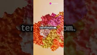 Molecular biology Translation Shorts Short biology [upl. by Gordy555]