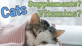 Cats Vitamins and Supplements 2019 hindiurdu [upl. by Nylecsoj63]