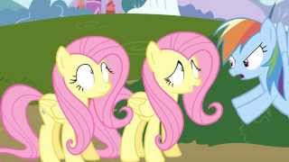 When Two Fluttershys Collide Animation [upl. by Aihseyk233]