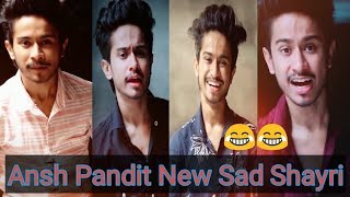 Ansh Pandit New Sad Shayri  Ansh Pandit Tiktok  Tiktok Shayri  Tiktok Video [upl. by Chadburn]