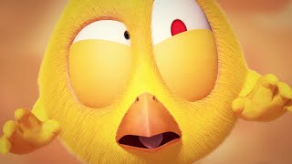 Wheres Chicky Funny Chicky 2023  THE SURPRISE  Cartoon in English for Kids  New episodes [upl. by Aelaza]