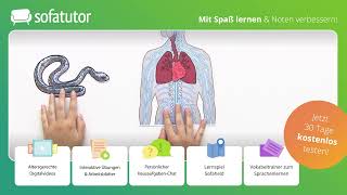 Zentrales und peripheres Nervensystem – Definition amp Funktion [upl. by Gupta]