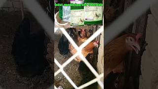 मुर्गियों के लिए सबसे अच्छी दवाbest medicine for chickens🐓🐓💊💊💉💉💊 chicken medicine informationsick [upl. by Noived]