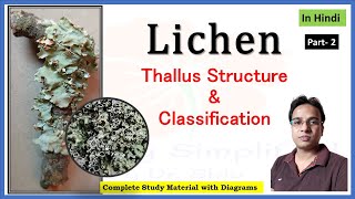 लाइकेन के थैलस की संरचना । वर्गीकरण । Lichen thallus structure  classification of Lichen  Part 2 [upl. by Valley]