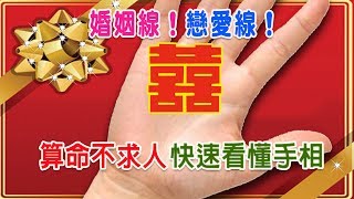 【算命不求人】快速看懂手相二十婚姻線Part 2婚姻線的形態（上）Marriage line [upl. by Ellehciram]