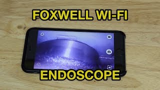 Foxwell WiFi Endoscope Quick Review [upl. by Aleahc78]