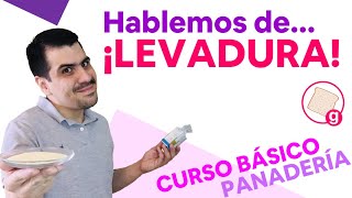 Hablemos de Levadura  Curso Básico de Panadería  Episodio 2  Galería de Recetas  GDRC127 [upl. by Cowen]