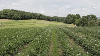 Reduzierte Bodenbearbeitung  Gärtnerei Birchhof [upl. by Oir]