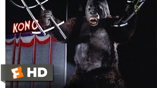 King Kong 89 Movie CLIP  An EscapeProof Cage 1976 HD [upl. by Ivon]