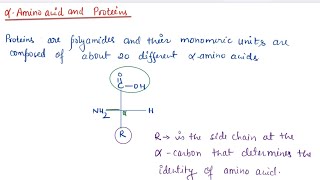 Biomolecules04 Alpha amino acids and proteins biomolecules ncert jeemainsandadvanced neet [upl. by Neersin]