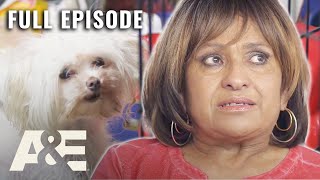 Celias HOARD of Shoplifted Items and ILLEGAL Dogs S1 E16  Hoarders Overload  Full Episode [upl. by Ferrick]