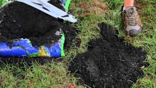 How to Repair Yard Sinkholes  Designed Landscapes [upl. by Enoob]