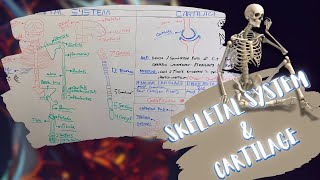 Introduction to Skeletal System amp Cartilage شرح بالعربى [upl. by Apul]