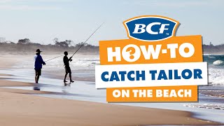 How to Catch Tailor  Beach Fishing [upl. by Aleik695]