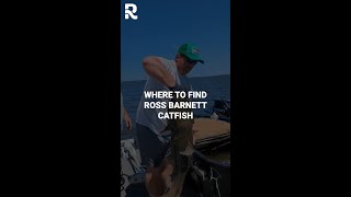 Where to Find Catfish on Ross Barnett Reservoir [upl. by Higinbotham]