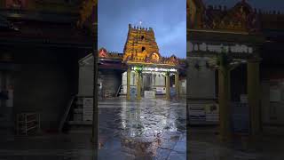 Vidyashankara Temple  Sri Sharada Peetham sringeri bangaluru mangaluru udupi [upl. by Enelrac]