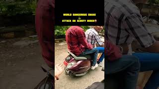 World Dangerous Snake Attack On Scooty Rider 🤬 shorts viralshort trendingshorts shortsfeed [upl. by Ahsenra530]