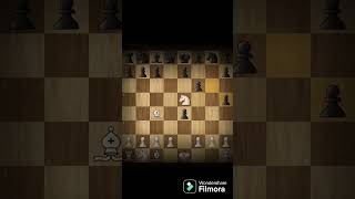 Tennison gambit trap  for beginners  chess chesscom [upl. by Ineslta]