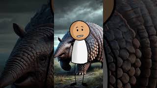 Unknown Fact About Glyptodonreel reels facts viralvideo viral funny all [upl. by Eckart]