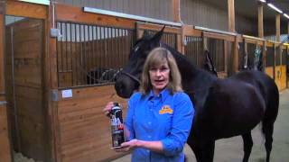 Absorbine UltraShield EX  Fly Spray For Horses [upl. by Eleanore]