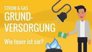 Grundversorgung Strom amp Gas – wie teuer ist sie und wie kann man sparen  cheapenergy24 [upl. by Dinsdale348]