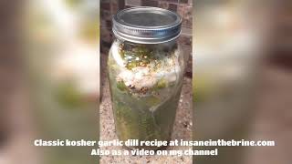 How To Make Perfectly Fizzy Half Sour Pickles [upl. by Calesta]