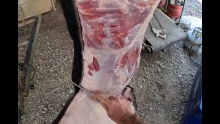 Undressing the Pork  How to skin a wild boar [upl. by Elocyn]