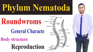 Phylum Nematoda Urdu Hindi Roundwormszoology Full lecture By Shahzad Rasool Learning Zoology [upl. by Nuahsel]