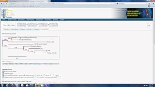 Phylogenetic Analysis [upl. by Calica]