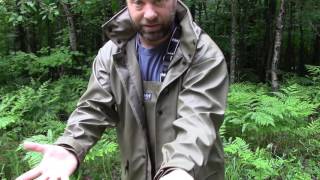 Helly Hansen Seven J Rain Jacket [upl. by Dorfman537]